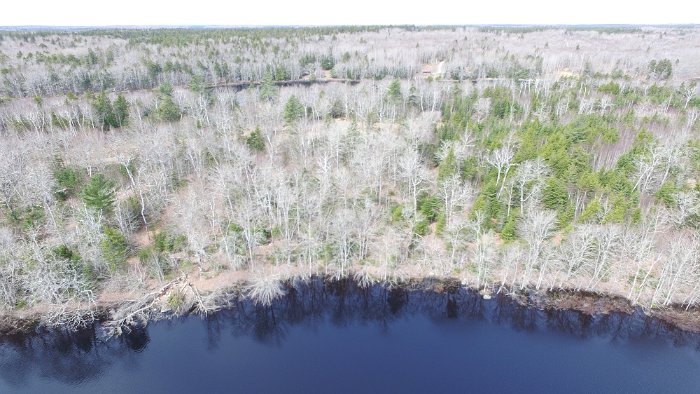 WentworthHalbinsel (39)